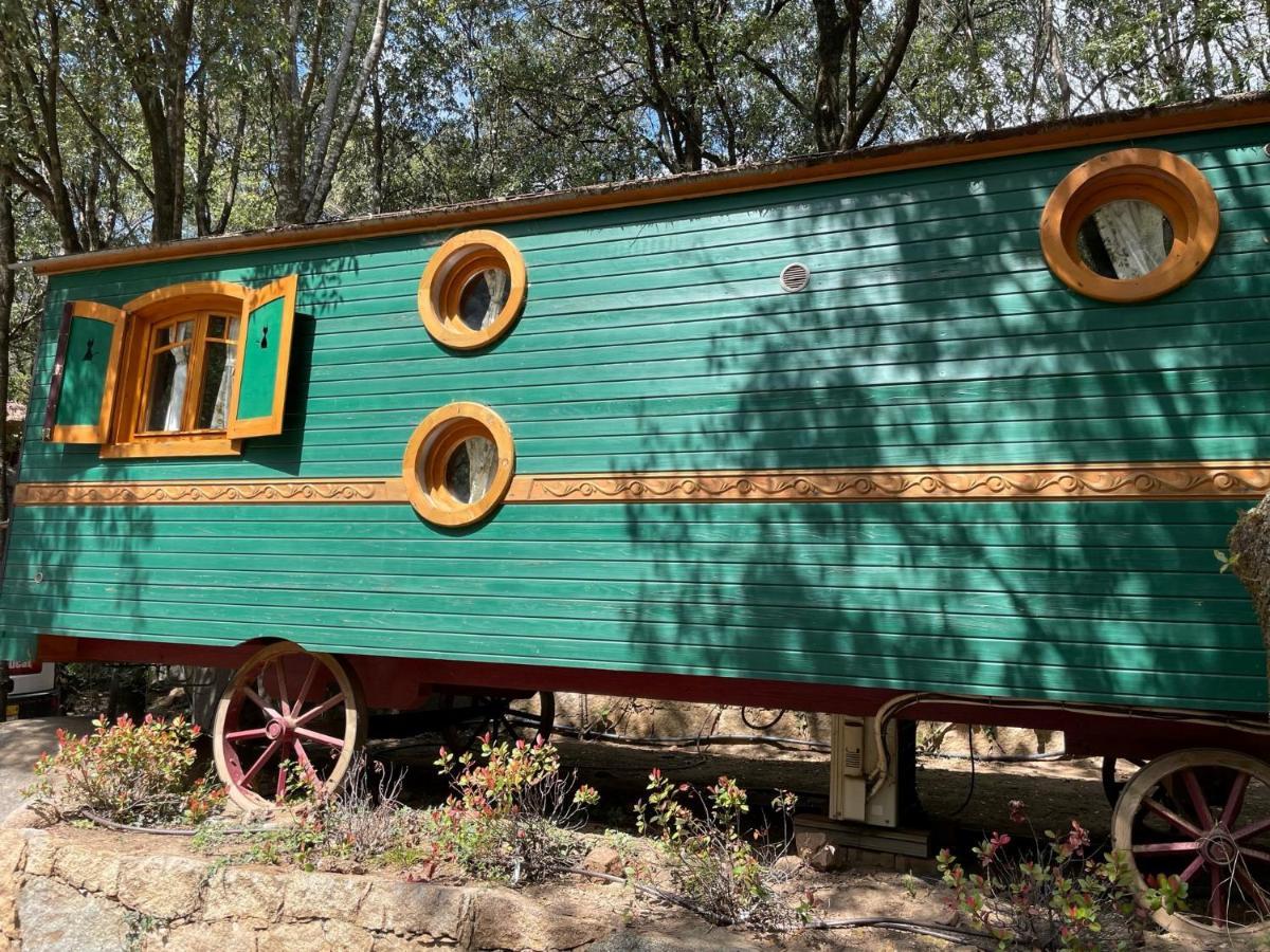 Camping Les Oliviers Porto  Zewnętrze zdjęcie
